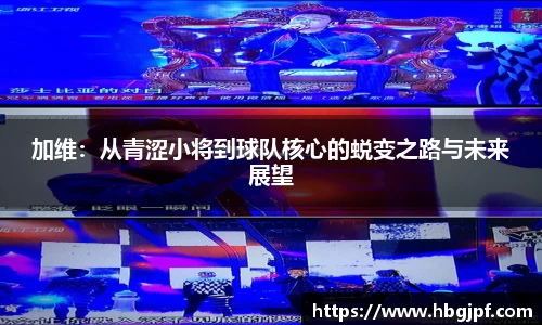 三亿体育官网