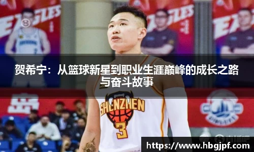 三亿体育登录入口